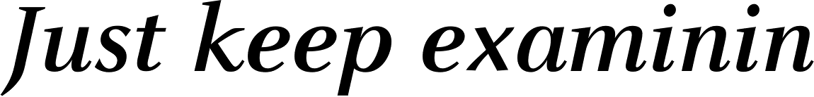 FF Celeste Pro Bold Italic