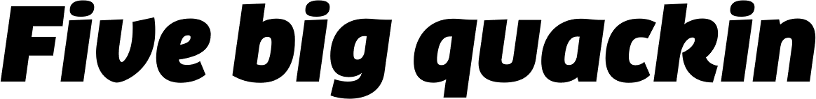 FF Clan OT Ultra Italic