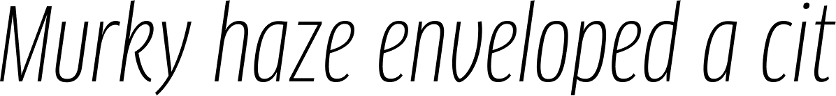 FF Clan Pro Cond Book Italic