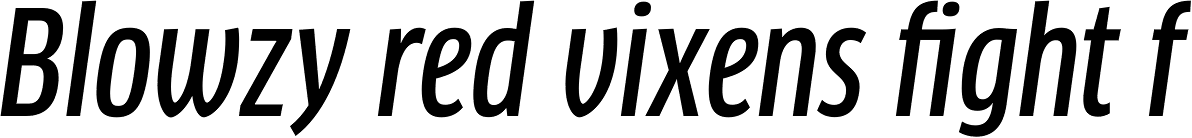FF Clan Pro Cond Medium Italic