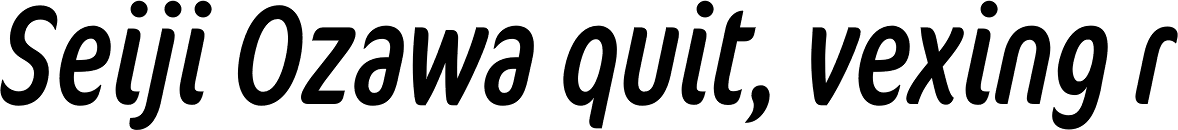 FF Cocon OT ExtraCond Italic