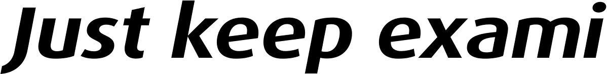FF Dax OT Wide Bold Italic