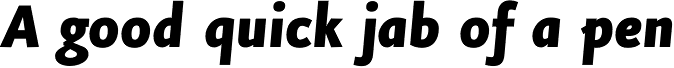 FF Eureka Sans OT Black Italic