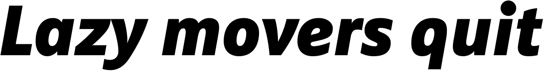 FF Marselis OT Black Italic