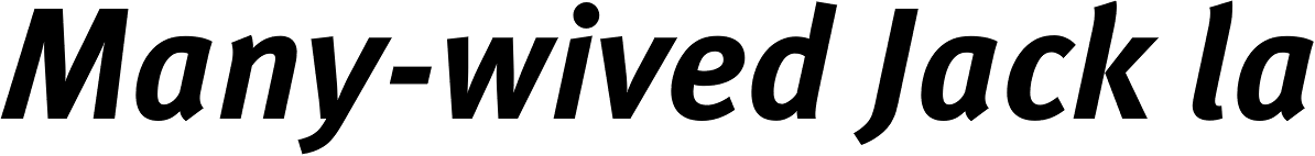 FF Meta Hebrew Bold Italic