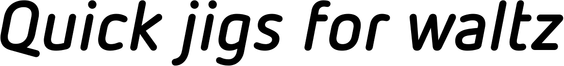 FF Netto Pro Bold Italic
