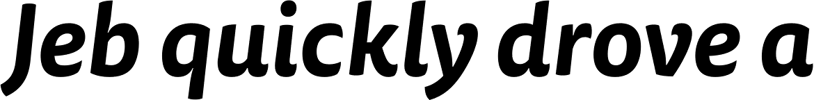 FF Tisa Sans OT Bold Italic