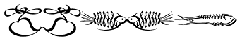 Fishface