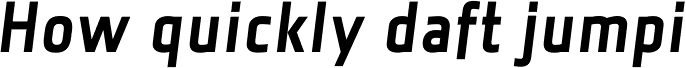 Florin Sans Bold Italic