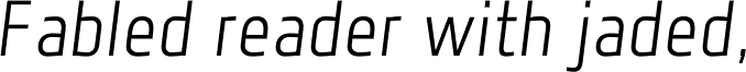 Florin Sans Light Italic