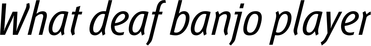 Fontana ND Aa OsF Italic