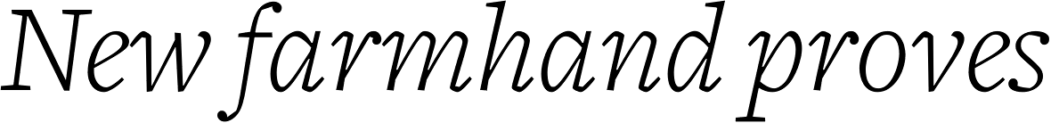 Freight Text Light Italic