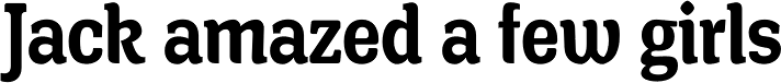 Front Page Pro Demi Light