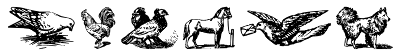 Gans Animals
