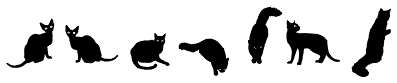 Gattofont™
