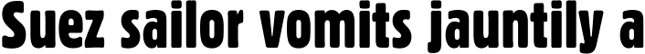Gothic 821 Condensed