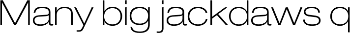Helvetica Neue LT Std 33 Thin Extended