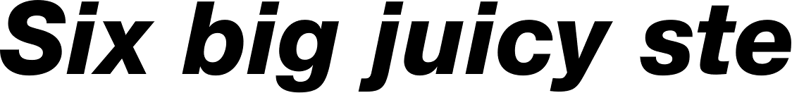 Helvetica Neue LT Std 86 Heavy Italic