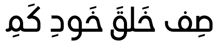 HS Ishraq