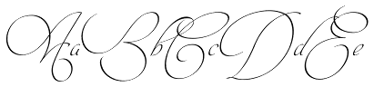 Intima Script