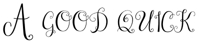 Janda Stylish Monogram