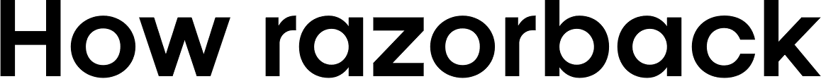 Kamerik 105 Cyrillic Bold