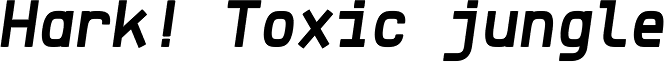 Klartext Mono Bold Italic