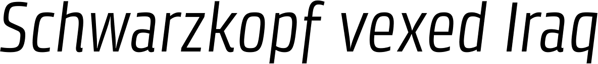 Klint Std Condensed Italic