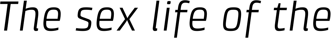 Klint Std Italic