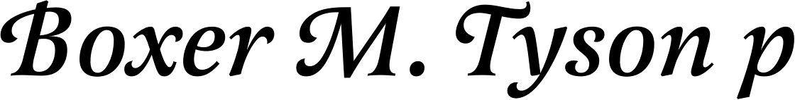 Latienne EF Medium Italic Sw C