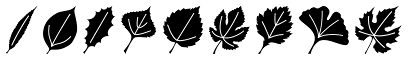 Leaf Assortment™