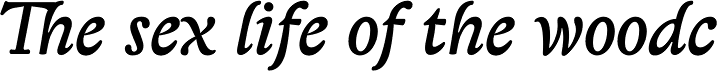Lexon Gothic Italic