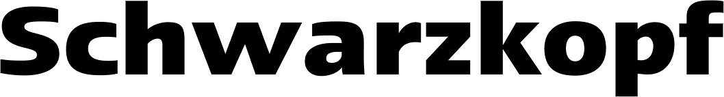 Linotype Ergo Cyrillic Bold