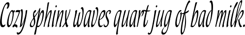 Lokal Script 11 Italic