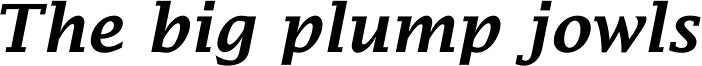 Lucida Fax Demi Italic