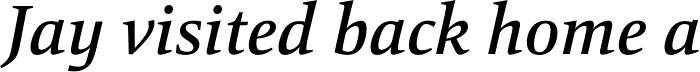 Mangan Medium Italic