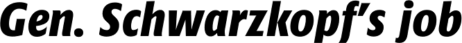 Minimala Exbo Italic
