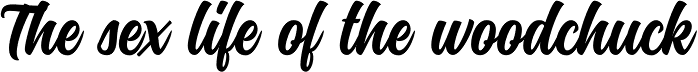 Montana Typeface