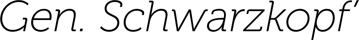 Museo 100 Italic