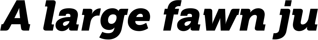 Museo Cyrillic 900 Italic