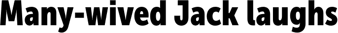 Museo Sans Condensed 900