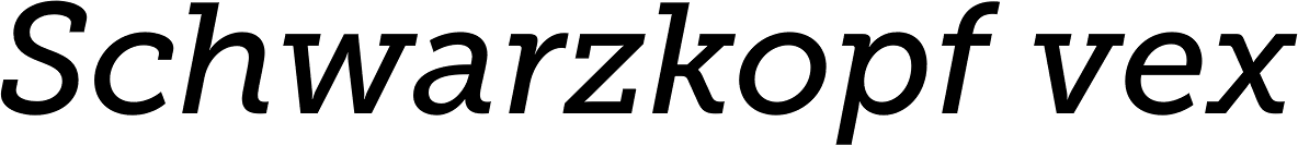 Museo Slab 500 Italic