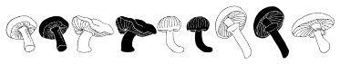 Mushrooms