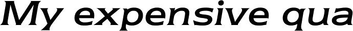 Newtext Std Italic