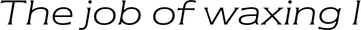 Newtext Std Light Italic