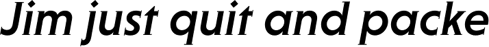 Niveau Serif Medium Italic