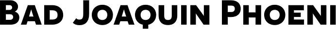 Novecento Sans Wide Bold