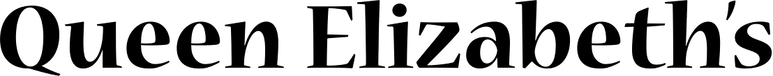Nueva Std Bold