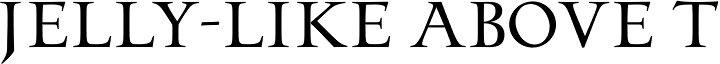 Odyssey Pro™