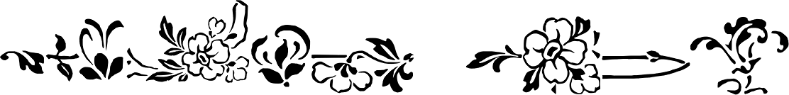 Ornata E